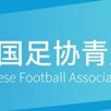 v站体育-第五届中青赛｜（陕西赛区）U13、U15组比赛圆满落幕|足球俱乐部|足协|莱奥|中国青少年足球联赛|代表队_新浪体育_新浪新闻
