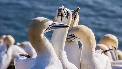 开云体育：以热爱驱动的全新体育生活方式